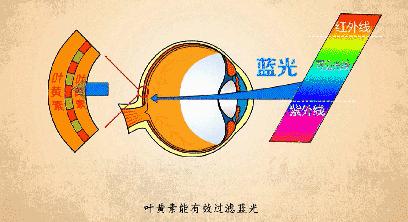 日本专治眼睛模糊的眼药水,护眼蓝光过滤器