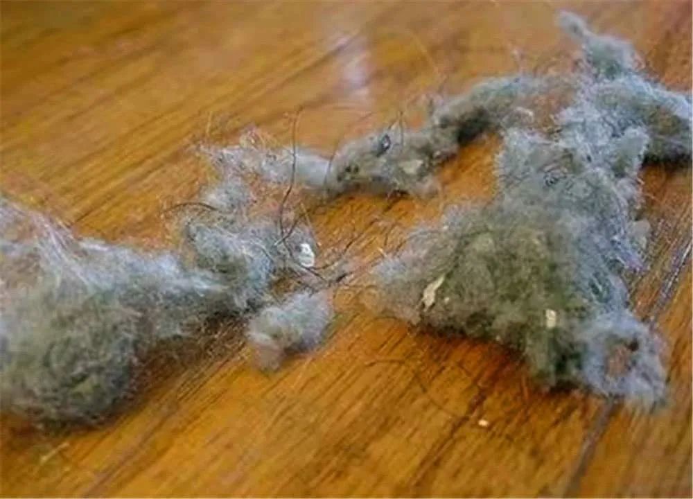 屋里的毛絮怎样打扫干净,家里毛絮太多怎么打扫