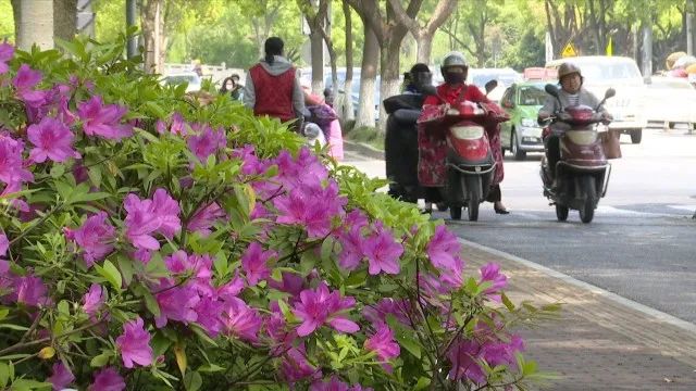 嘉兴气候变化,浙江嘉兴的气候变化