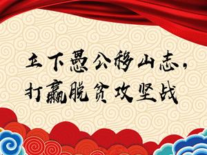 【走向我们的小康生活】小小西梅园铺就致富路