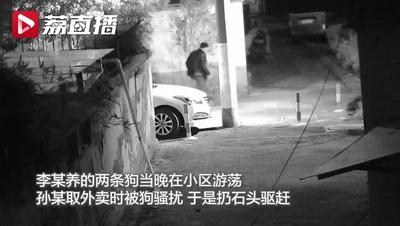 苏州宠物狗被捅死,苏州男子被狗打死