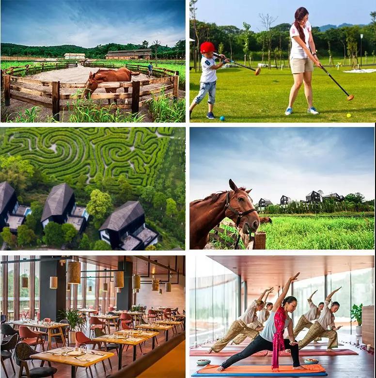 浮生御温泉度假村399团购,浮生御温泉酒店优惠券领取