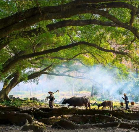 12位文学巨匠,12位文学作家写的书