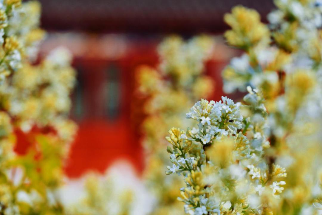 春天游世园地址,春天带你去游玩