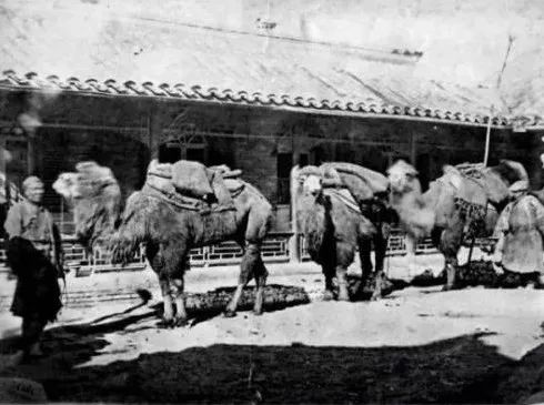 刘振瑛|张库大道系列讲座之十二：圐圙碎语