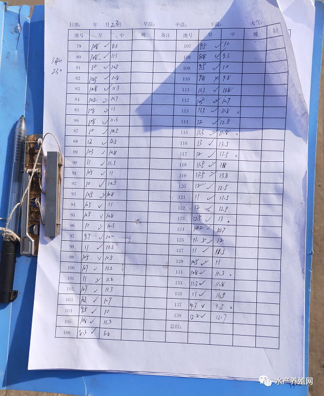 对虾养殖2020,对虾养殖技术最新