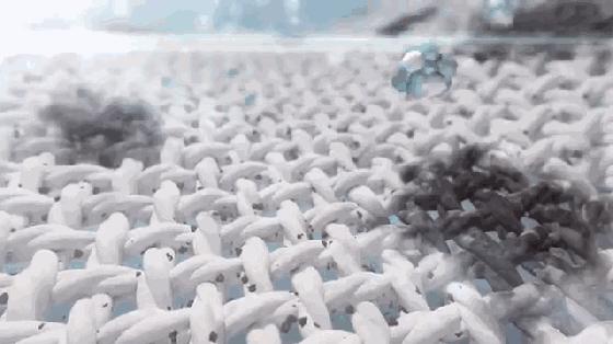 洗衣时加白醋好不好,洗衣时加白醋去静电吗