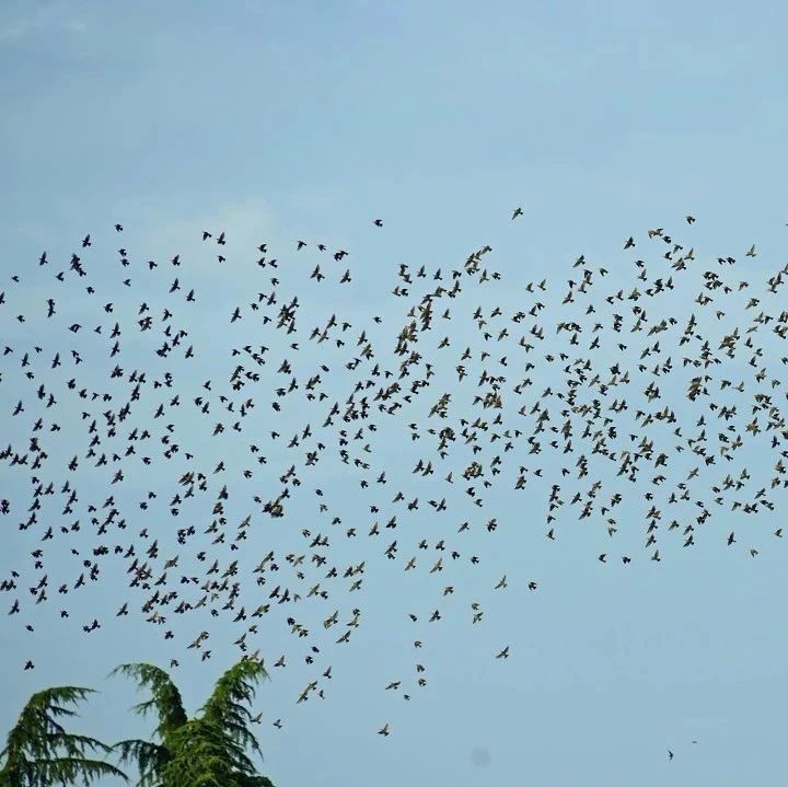 国外500强药企ceo收入,各大药企薪酬