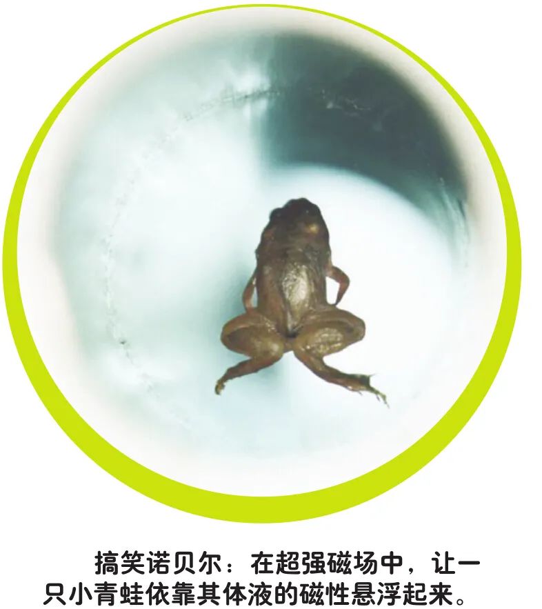 小本经营书籍讲解,小本经营能干什么