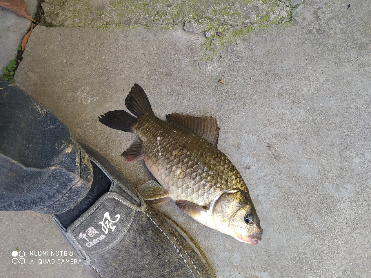 海竿串钩正确钓法视频,海竿串钩野钓最佳方法