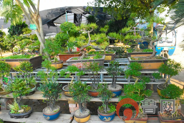 祥和庄园4月29日开园啦!向往的生活从这里开始