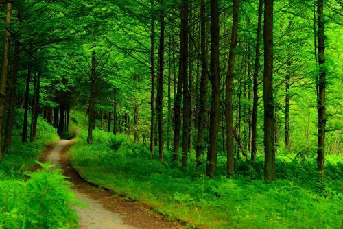 初刻拍案惊奇案原文,拍案惊奇背后的黑手