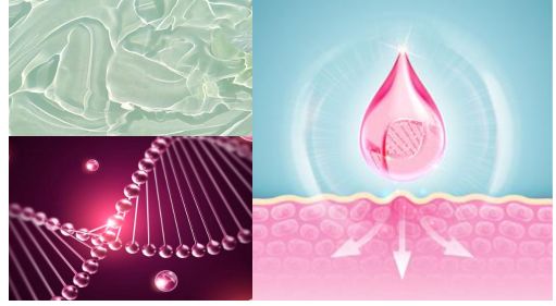 拒绝油腻毛孔粗大,水光肌粉底韩国女星