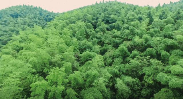 以案释法后果严重吗,以案释法骗局视频