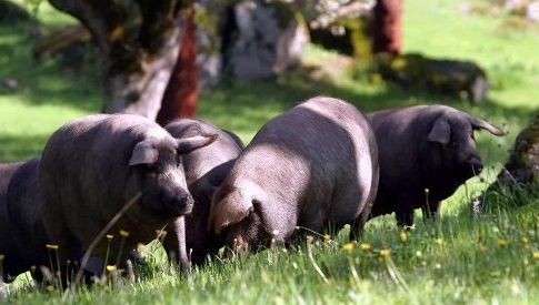 世界上珍贵的瞬间,世界上最珍贵的都是用心感受到的