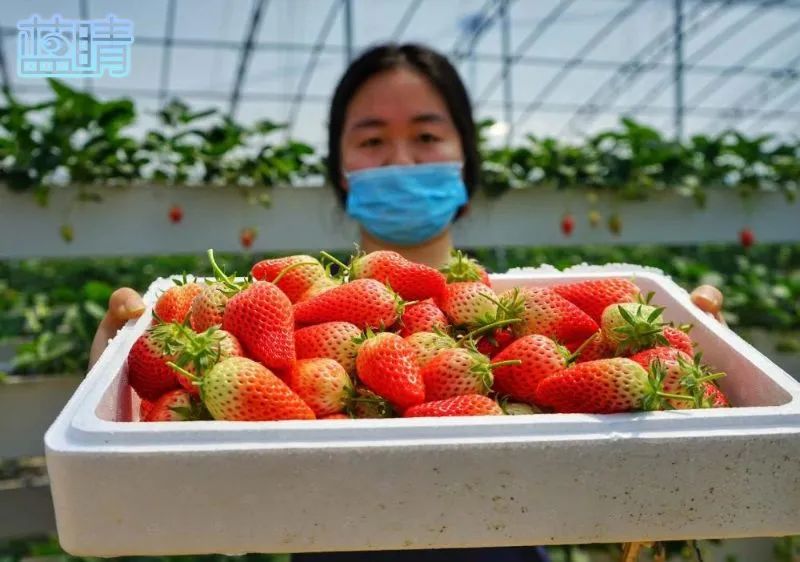 青岛市开发区五一假期,青岛小长假旅游