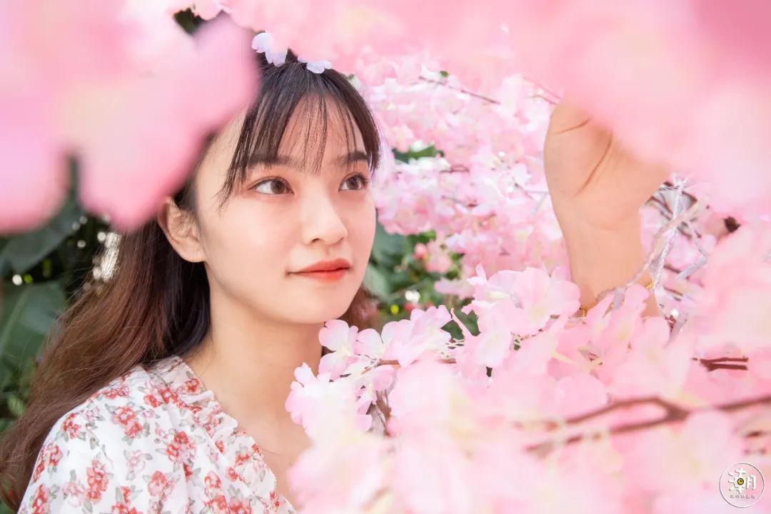 五一打卡超大的油菜花田,五一打卡家门口的花海