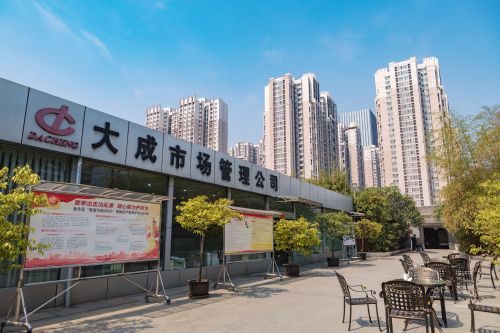 新长江访谈∣2020,新荷花池迎来“大成蝶变”——成都嘉润置业有限责任公司董事长陈先德专访