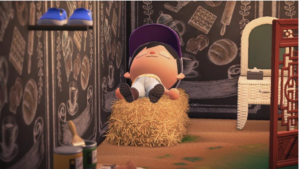 动物森友会玩些什么,动物森友会能2人用一个switch玩么