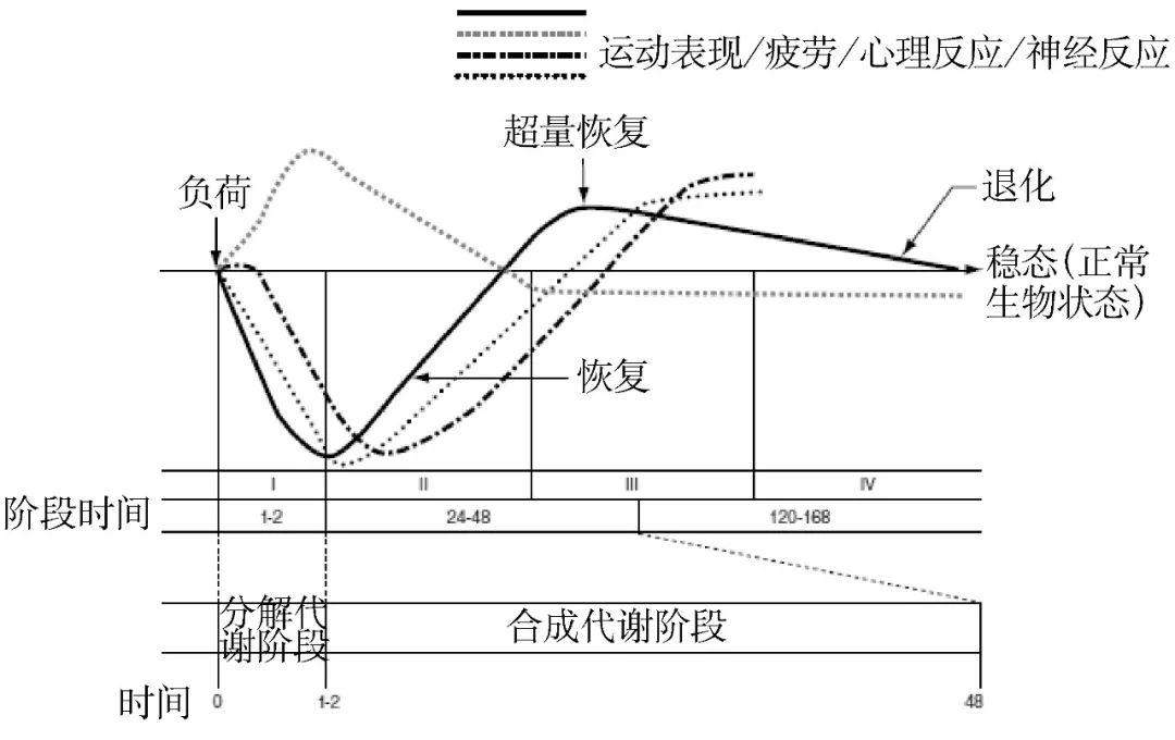 运动训练理论与实践研究方向,运动训练理论可分为哪三个阶段