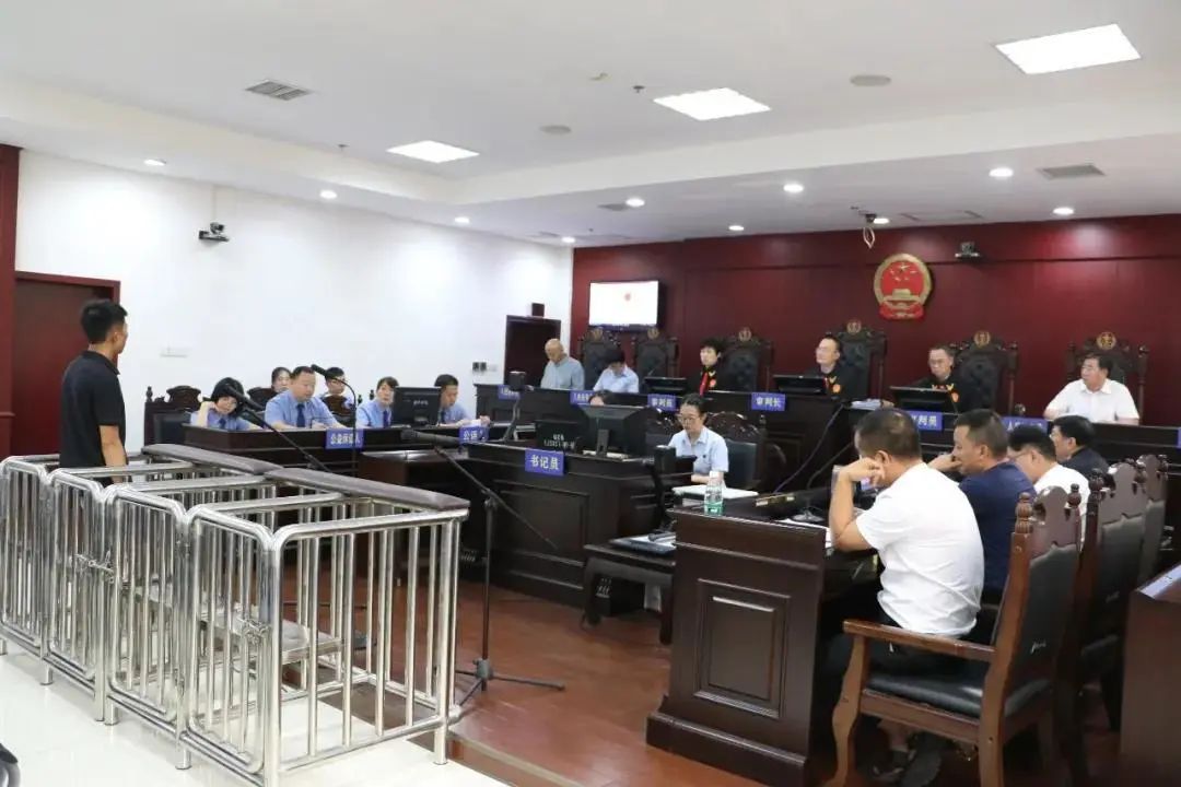 非法经营野生动物是什么违法行为,近年来查处野生动物案件情况