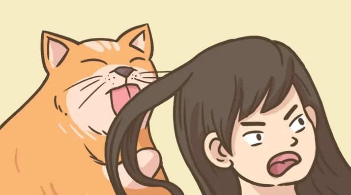 洗完头什么时候用护发精油比较好,几天洗一次头最护发