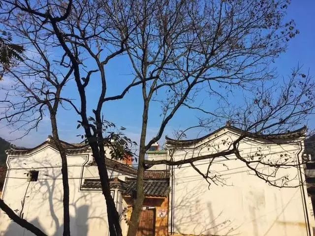 衢州市有哪些古镇老街,衢州历史文化名城公布时间