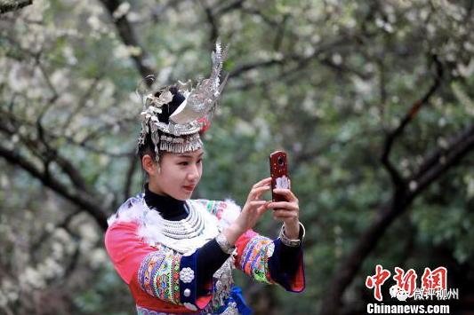 融安县贫困户脱贫,广西融安县沙子乡贫困农村