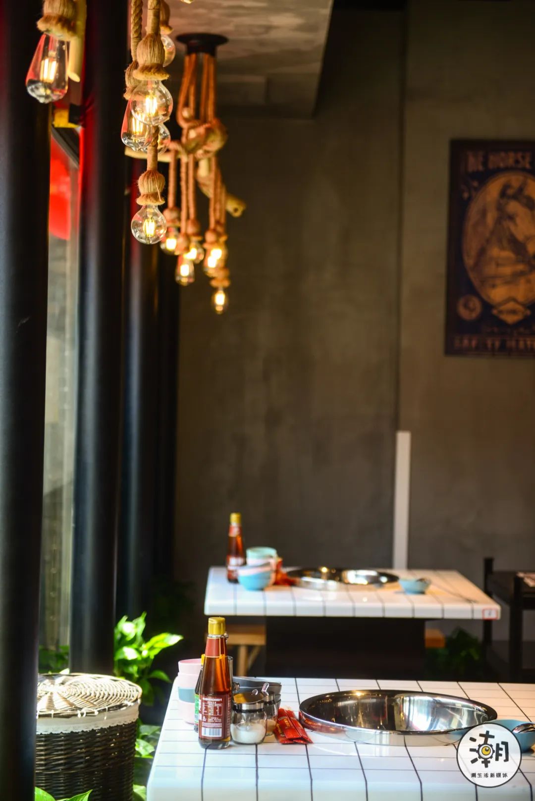 怎么处理八爪鱼,遇到八爪鱼怎么拔牙齿