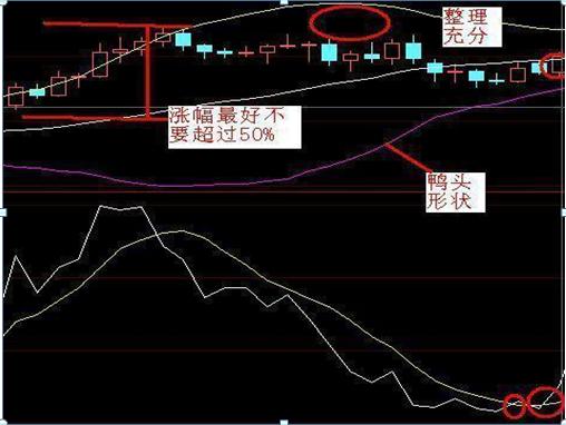 股市暗语1001,股市暗语99
