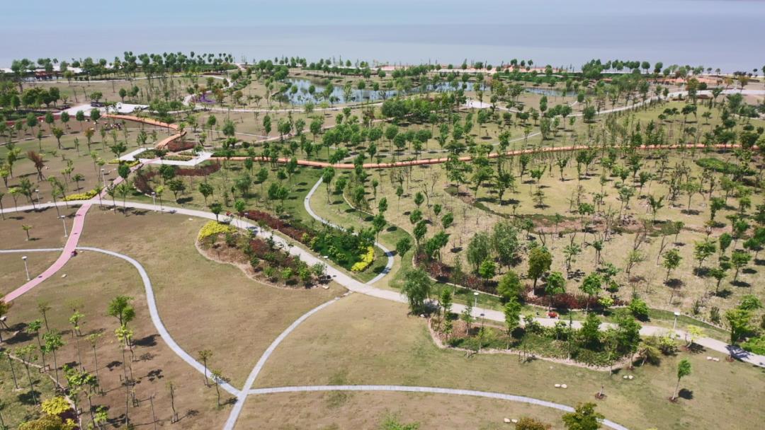 淀山湖打卡网红景点,淀山湖网红打卡小栈桥