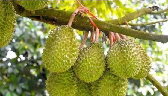 “朋友圈免费领……”这个坑当心！已牵出3800万元大案