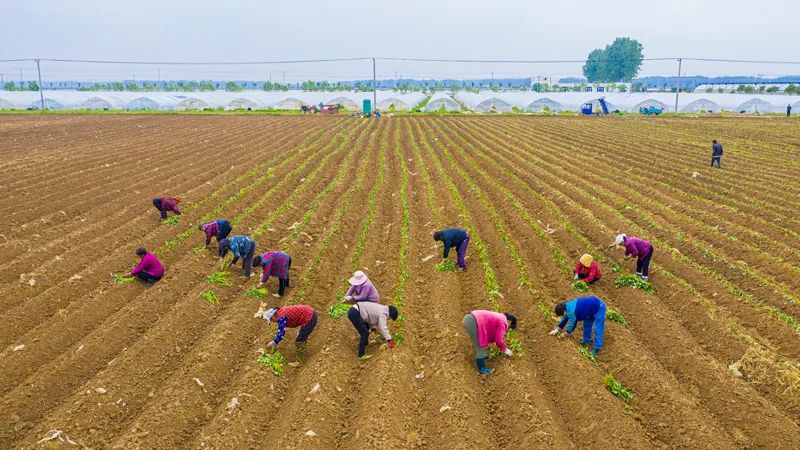 泗洪中考那些事,今日泗洪县大小事