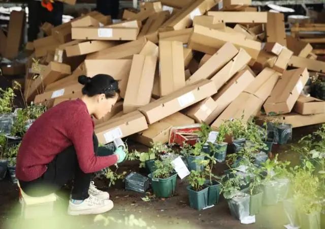 国务院通报表扬沭阳,沭阳县被表彰