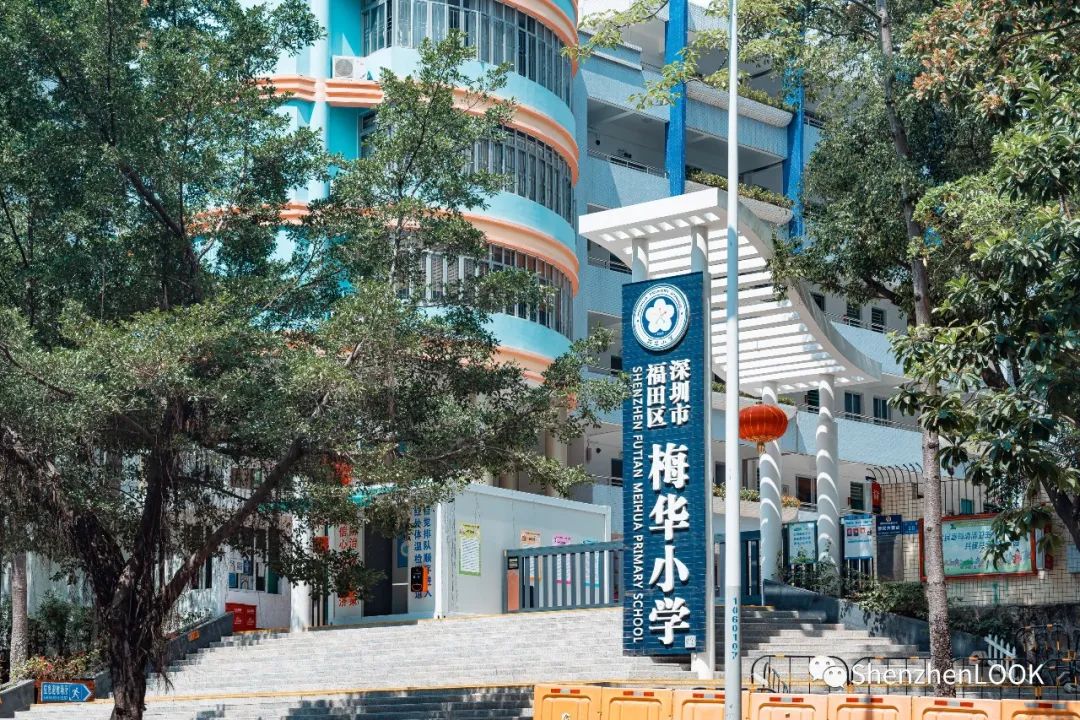 look这是什么牌子的包包,严浩翔说look这是tnt什么舞台