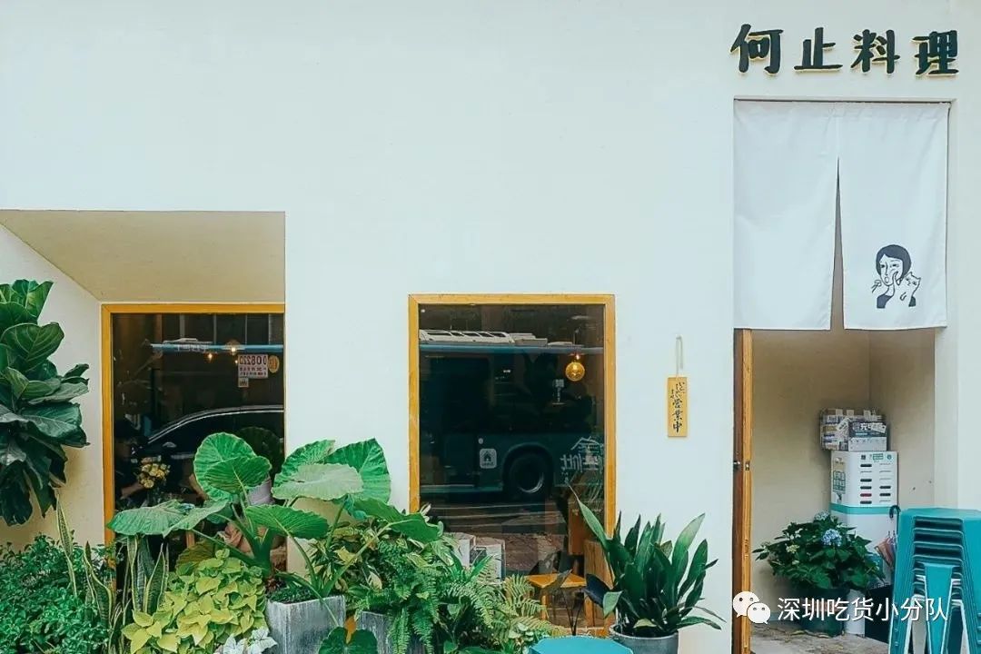 开门就排队的茶饮店,开门就排队的烧烤大鹏