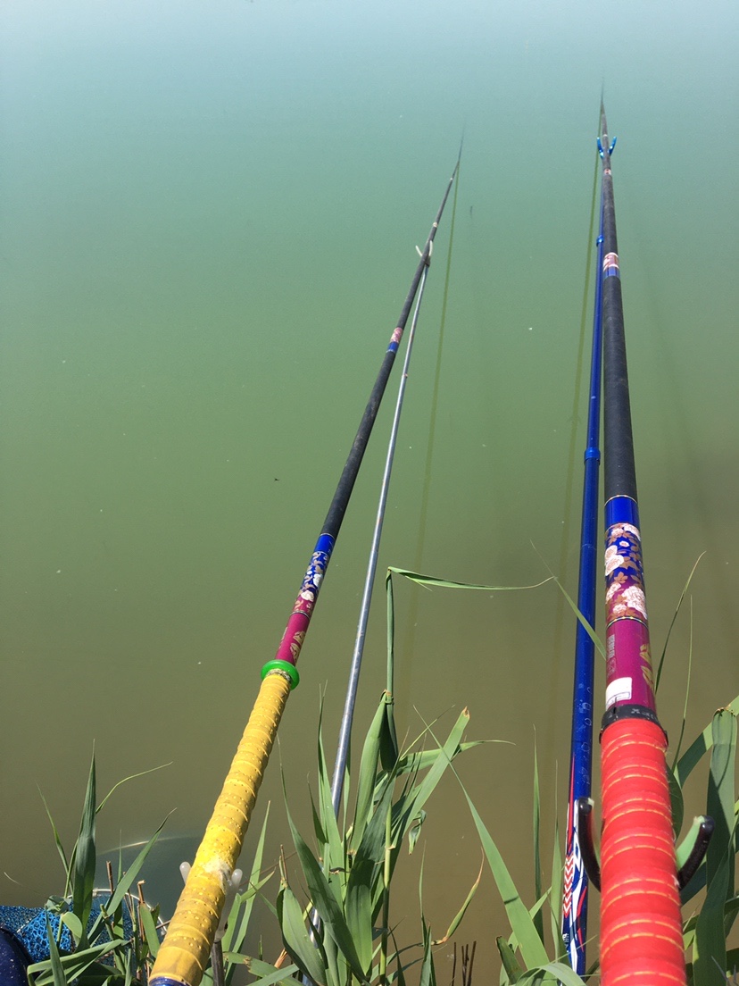 千里江河万亩山川，如何维持生态？值得钓友反思