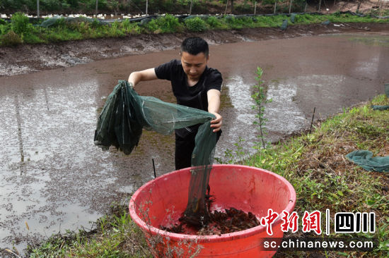 8090龙虾哥,龙虾哥创业视频
