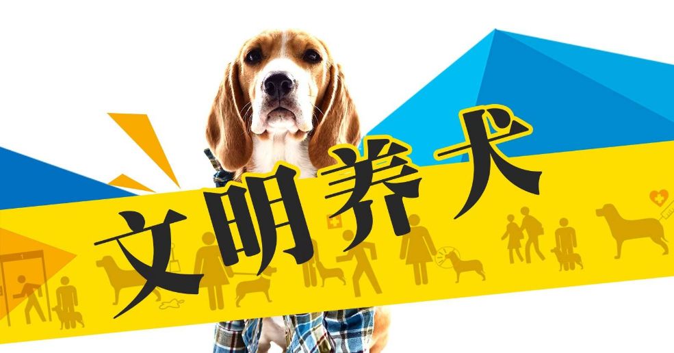 没收的禁养的狗罚款多少,没收犬只