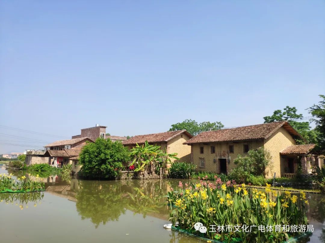 分享|“云游”林间小屋、石砌村道、稻田果树！乡村康养的好去处