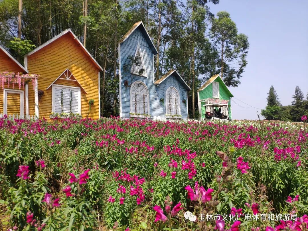 分享|“云游”林间小屋、石砌村道、稻田果树！乡村康养的好去处
