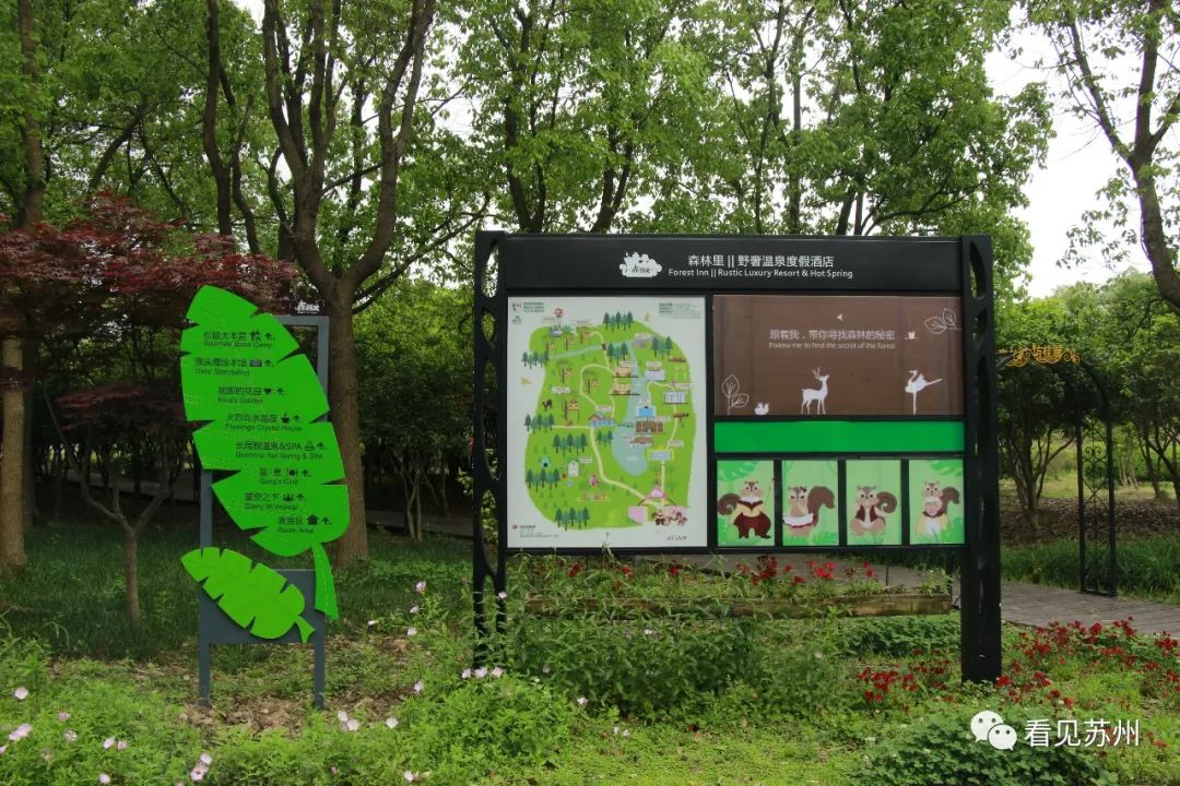 苏州森林里野奢树屋,苏州泡温泉度假的地方推荐