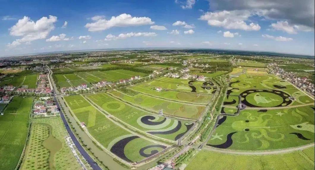 向往的生活带你体验乡间的路,向往的生活田园生活