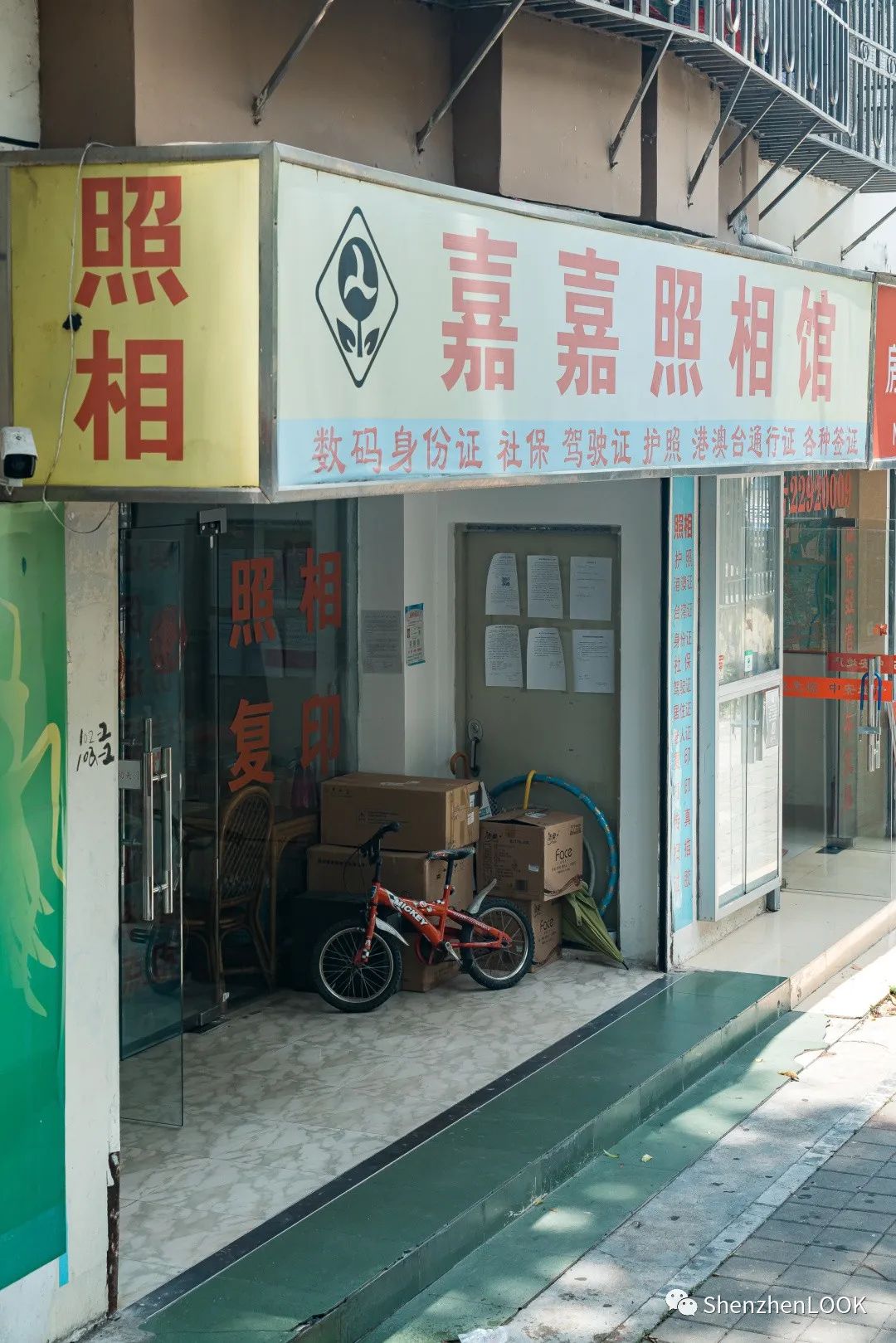 LOOK|这，就是园岭