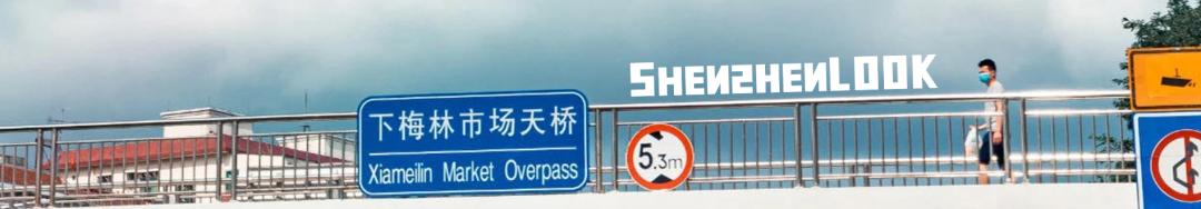 LOOK|这，就是园岭