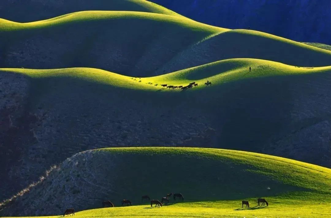新疆伊犁大草原最美的季节来了,新疆伊犁的春天来了