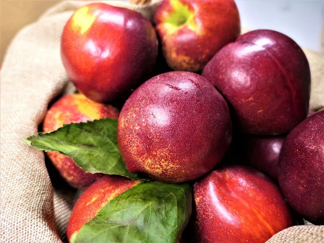 油桃汁水,黄心油桃5斤应季大桃子