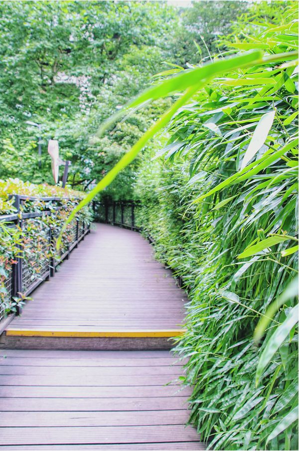 旅拍贵州!邂逅每一帧浪漫风景