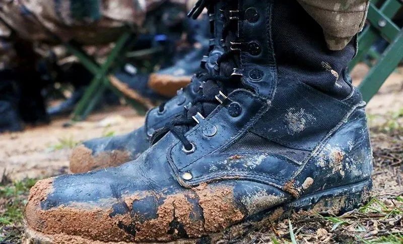 东部战区陆军下辖部队,北部战区陆军四个作战旅团