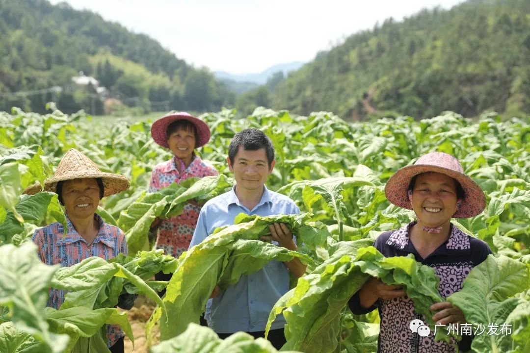 50%50%为什么等于0.75,100%黑巧克力怎么做好吃